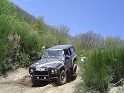 rass_2008 (1)